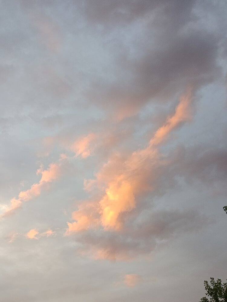 Photo #13777357