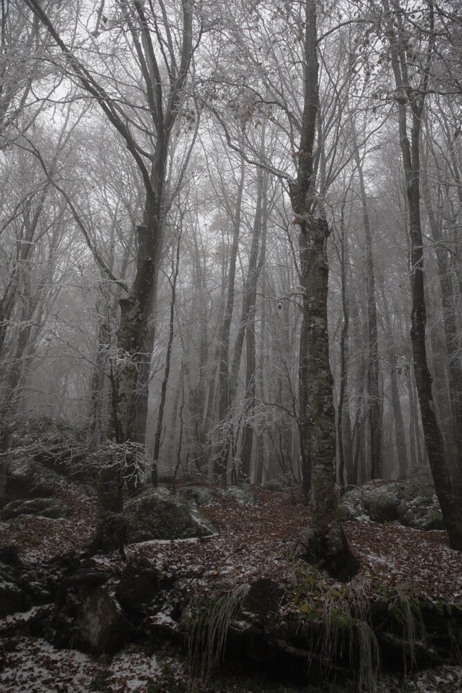 Photograph by Одаренко Ольга
