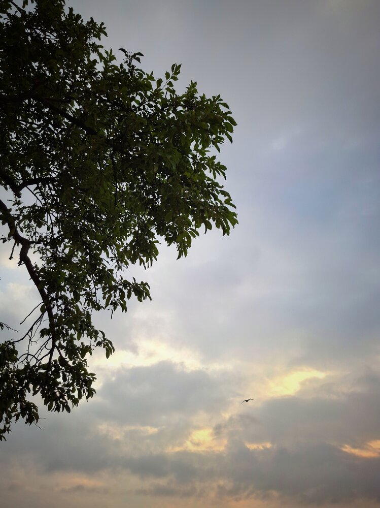 Фотография автора MobigrafVDK