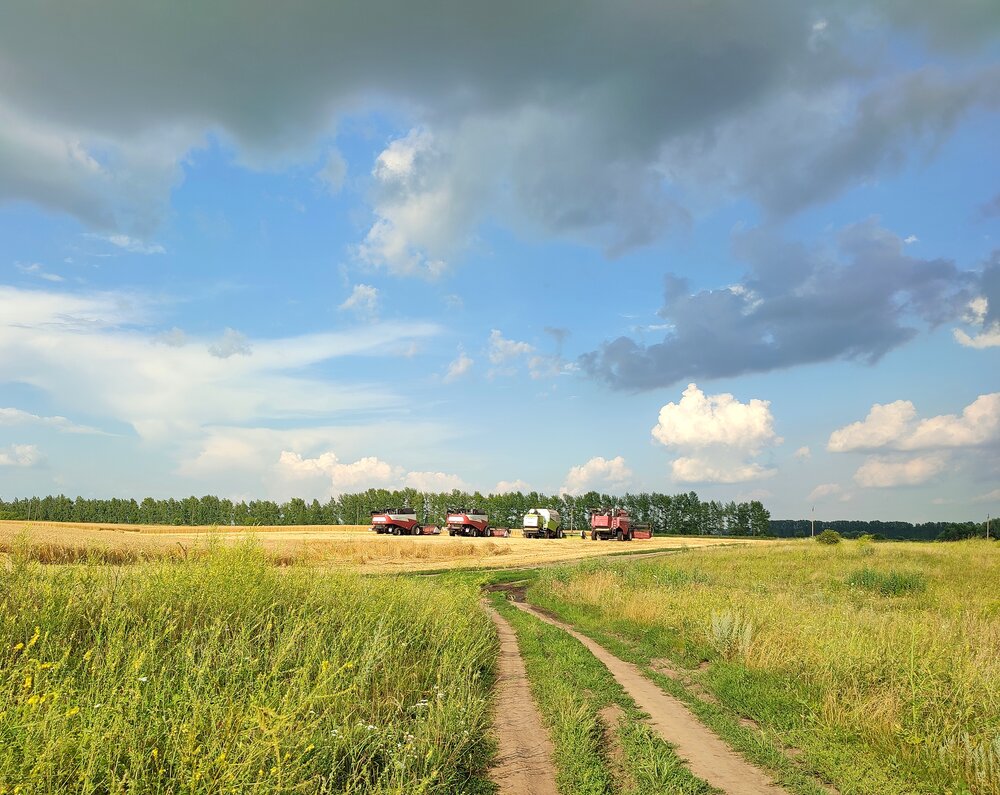 Photograph by Владимир Себякин