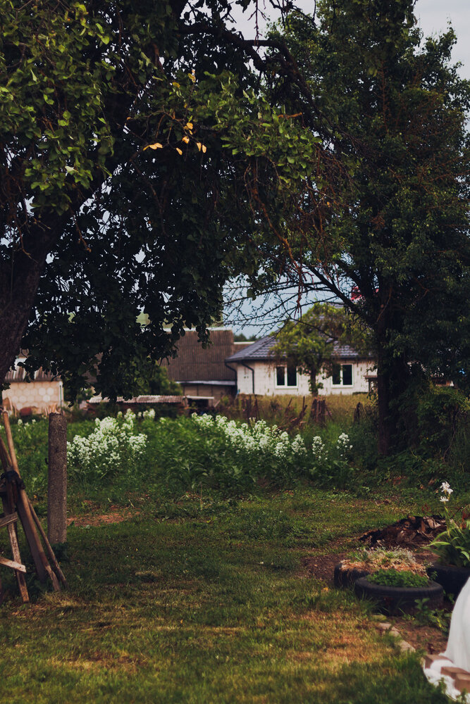 Photograph by Рената Явнейко