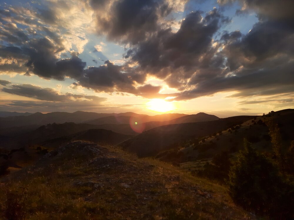 Photograph by Галина Глазкова