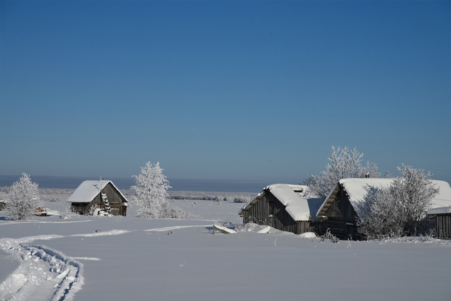 Photo #13777482