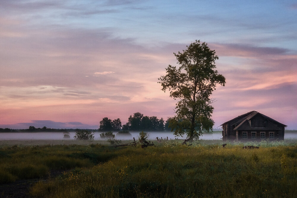 Photograph by Анна Акименко