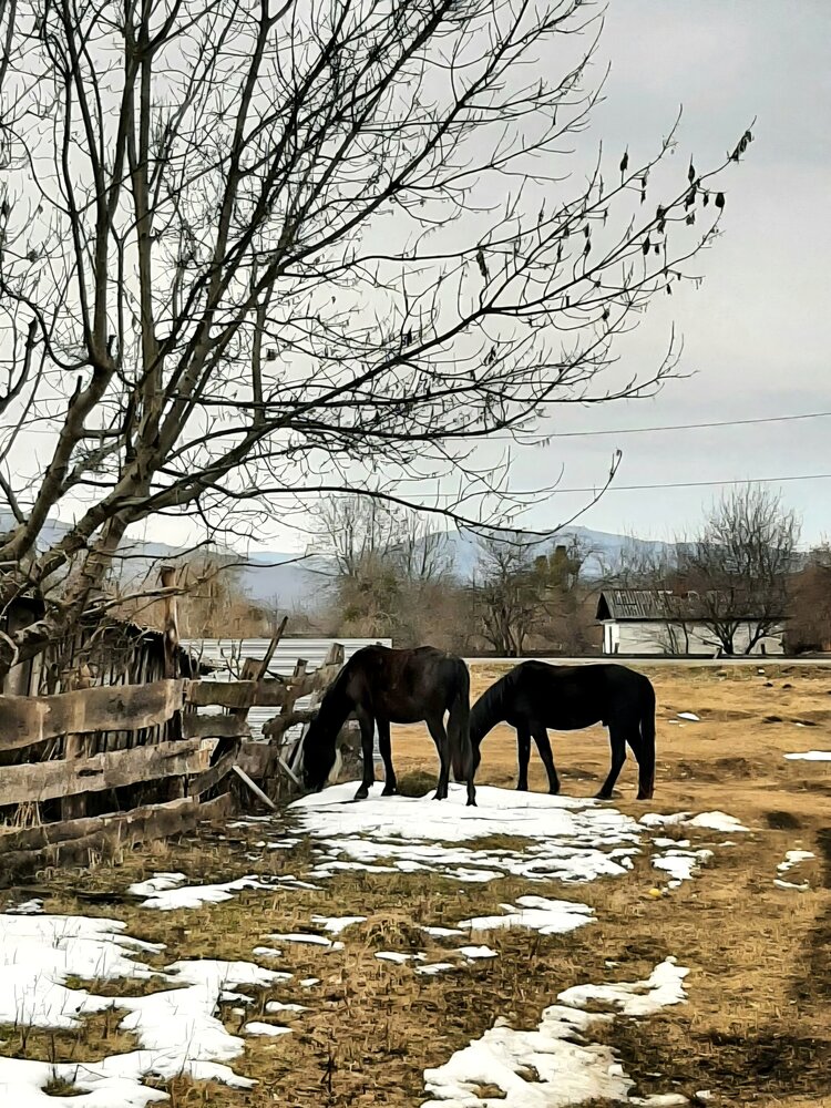 Photograph by Наталья Гаврилова