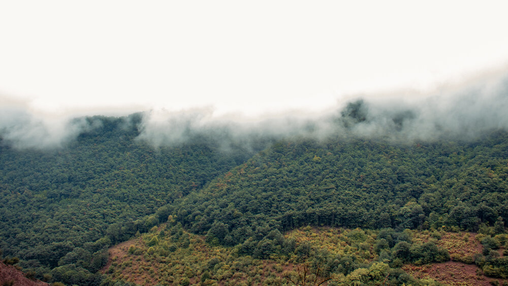 Photograph by Parsa Mohammadinejad