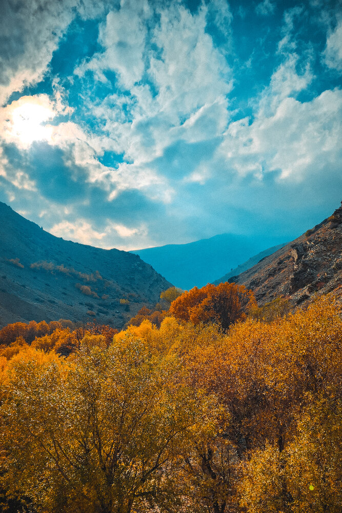 Фотография #13777740