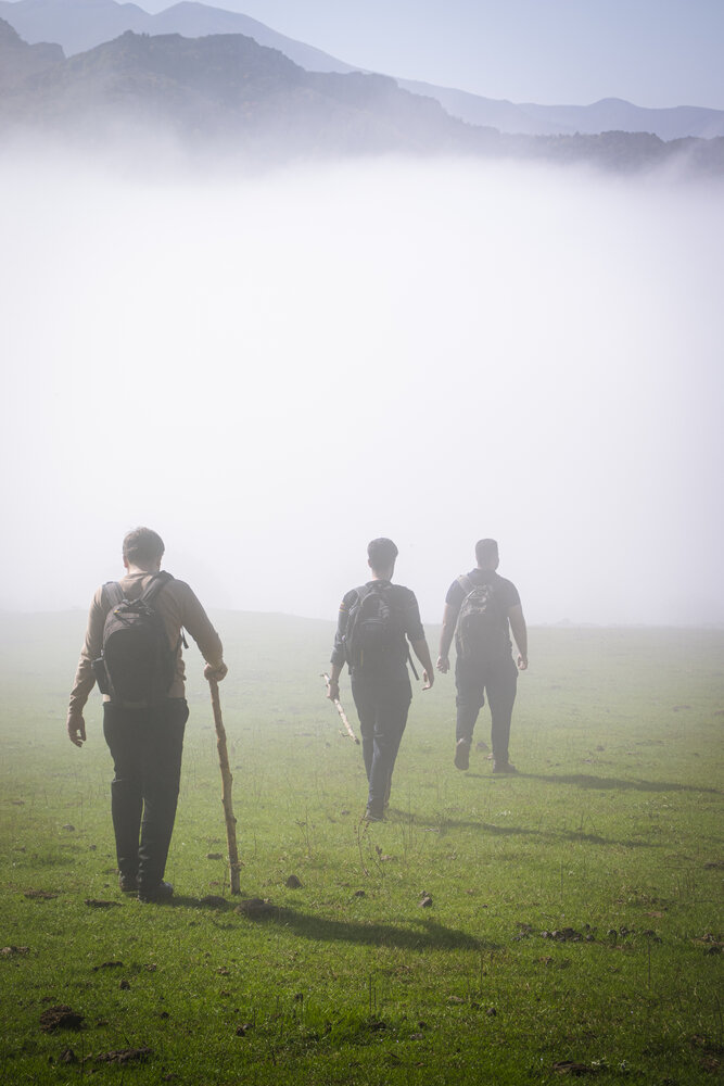 Photo #13777744