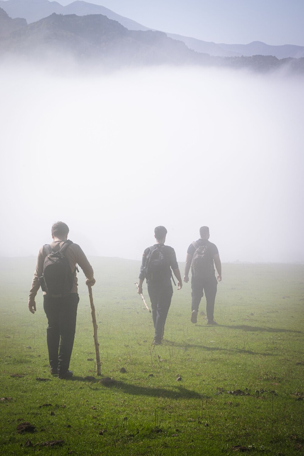 Photo #13777744