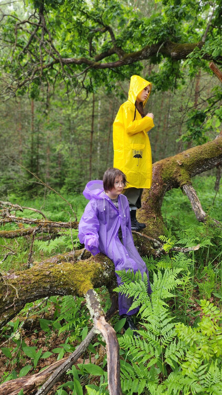 Photo #13777748
