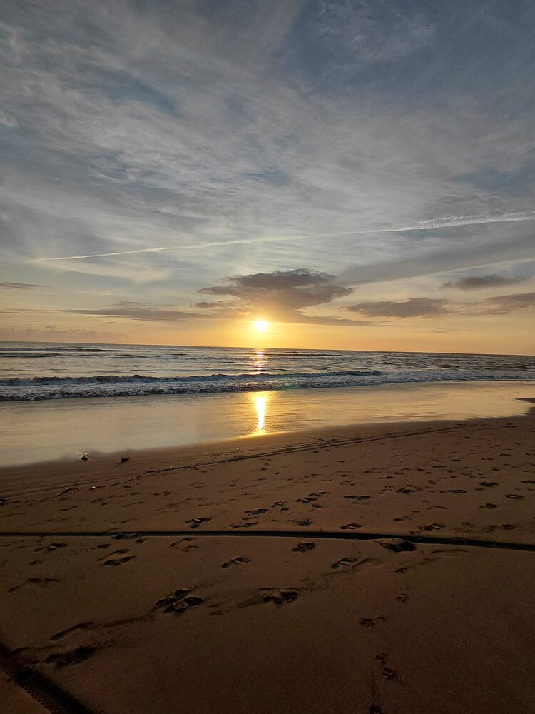Photo #13777881