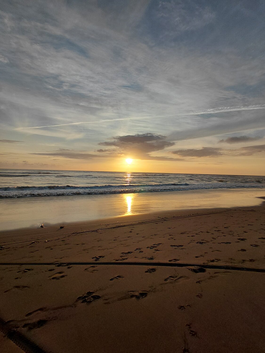 Photo #13777881