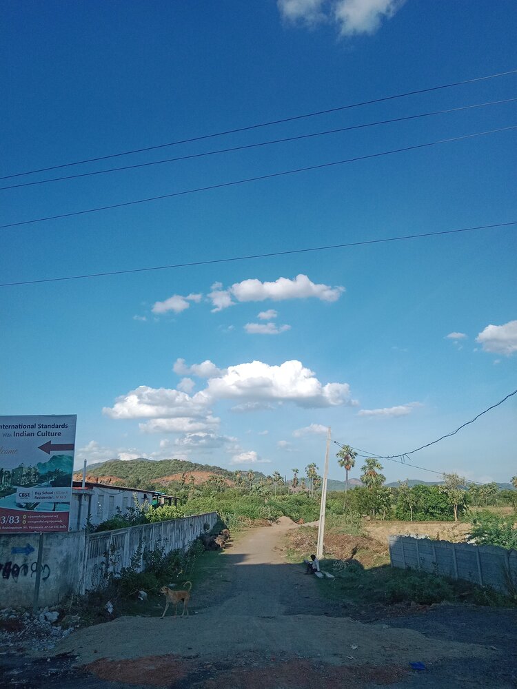 Photo #13777883