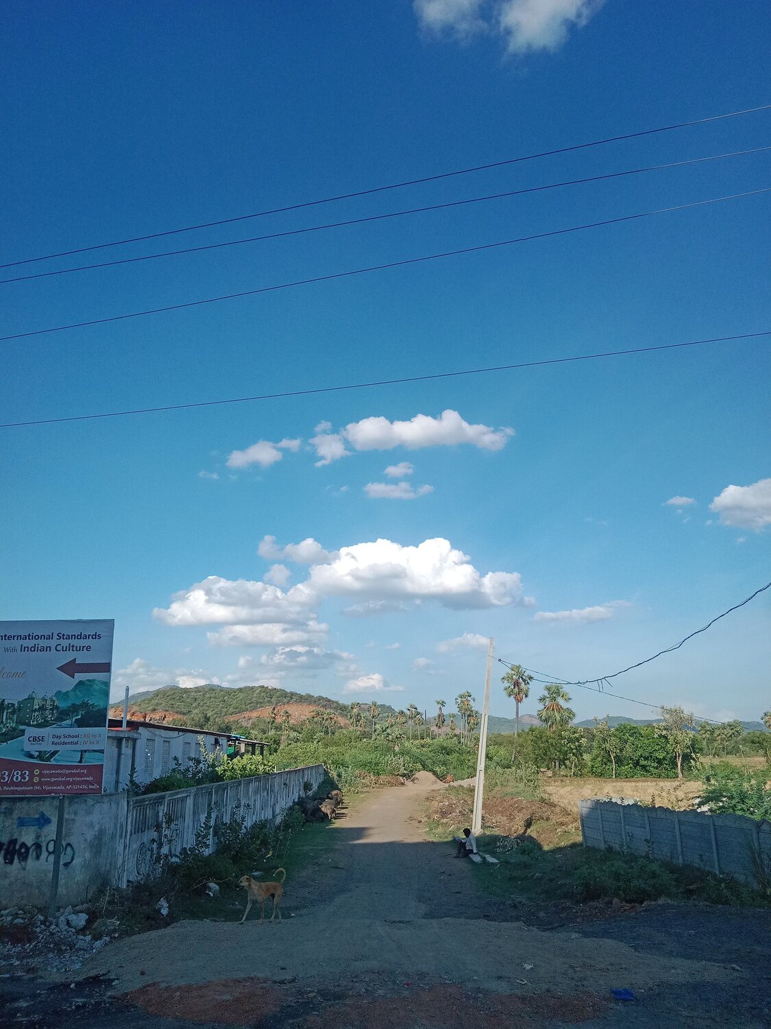 Photo #13777883