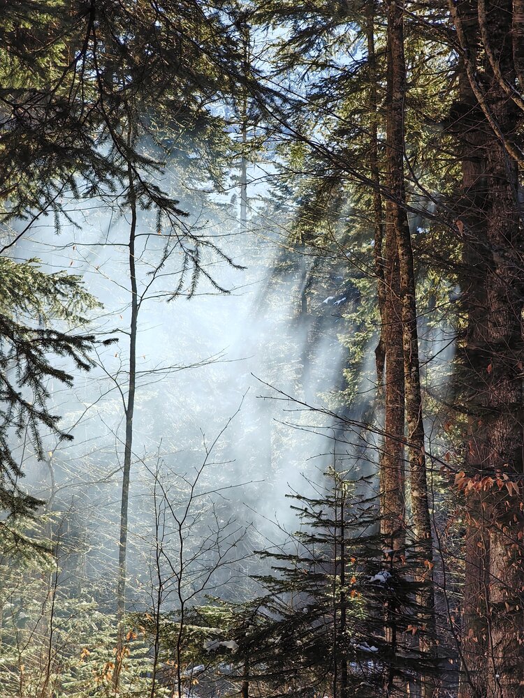 Photograph by Игорь Крыжко