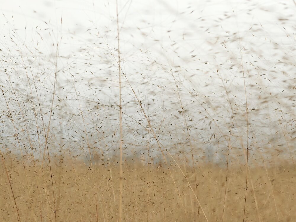 Photograph by Игорь Крыжко