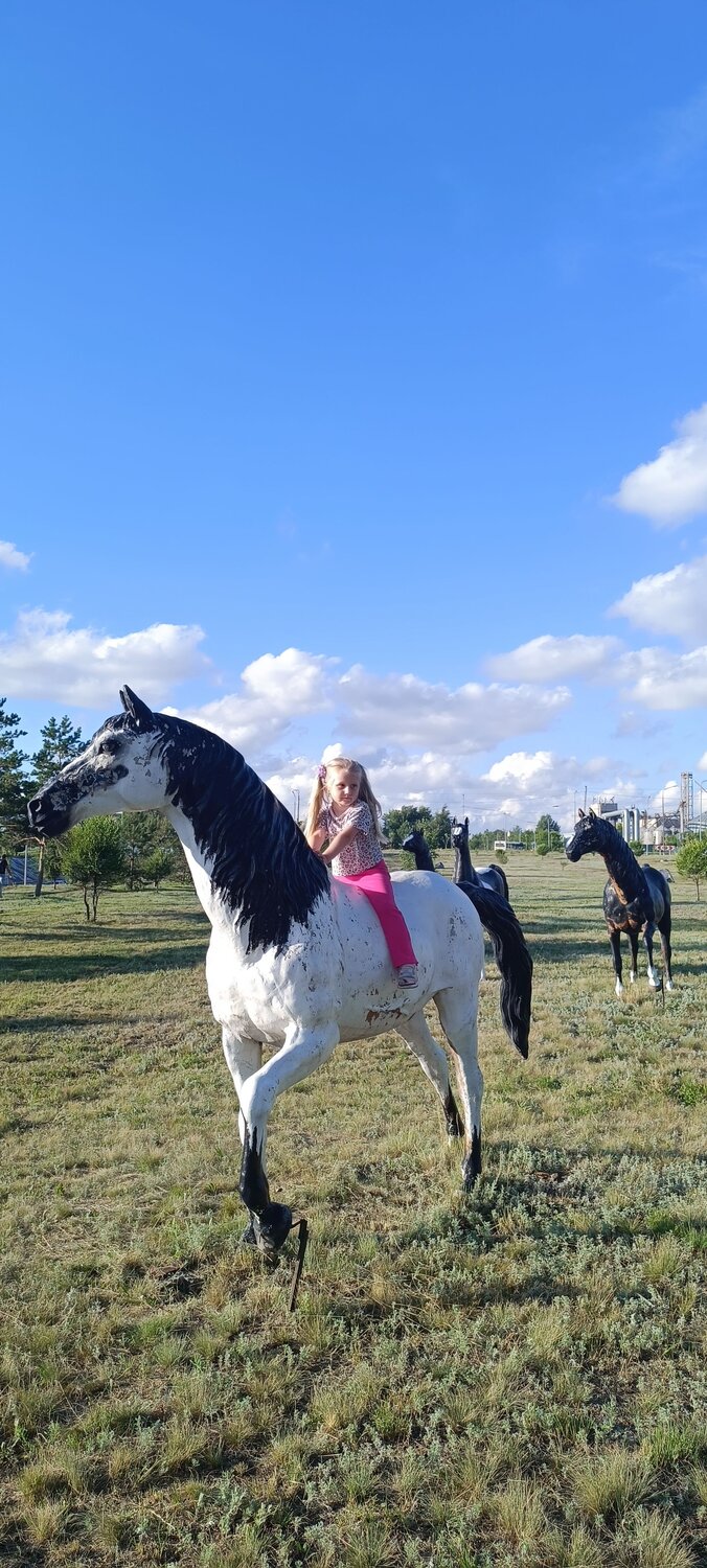 Photo #13777924