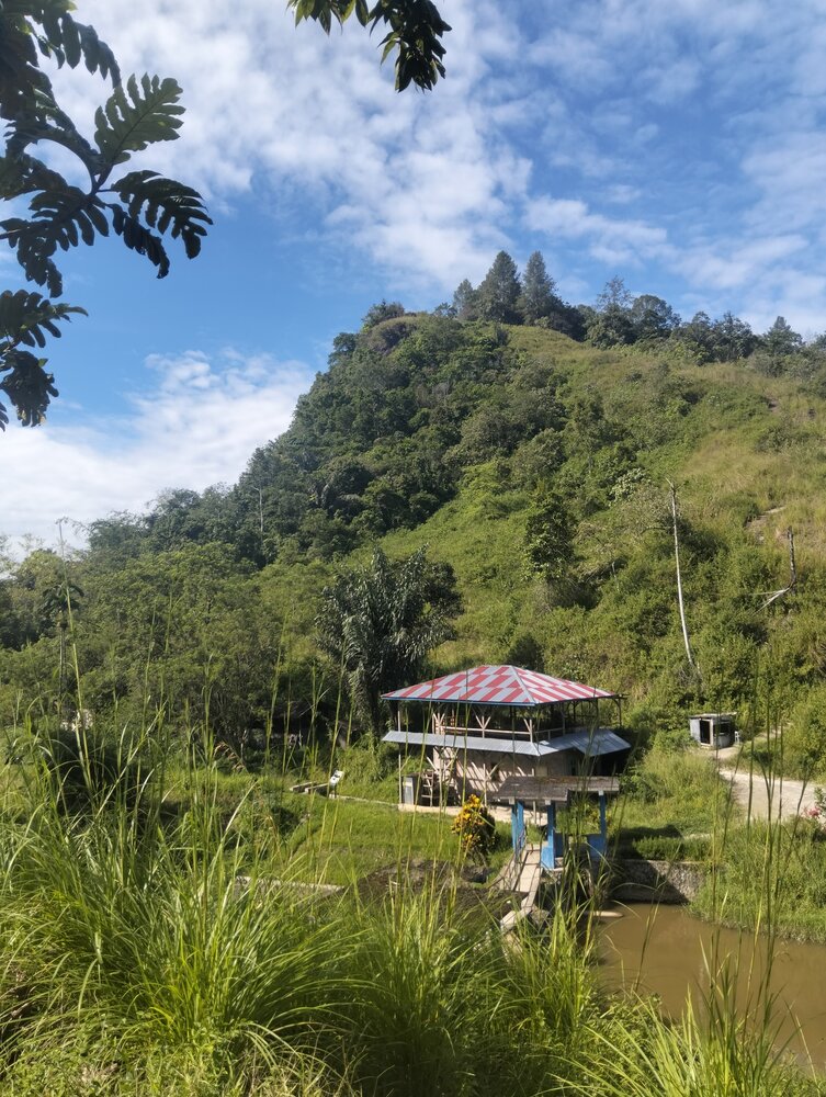 A View In A Village Hill