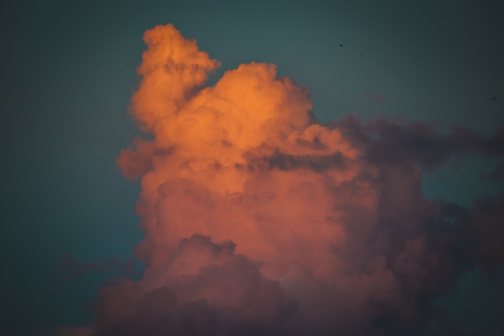 Photograph by Дмитрий Пасынков