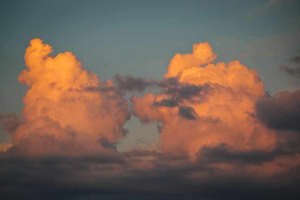 Photograph by Дмитрий Пасынков
