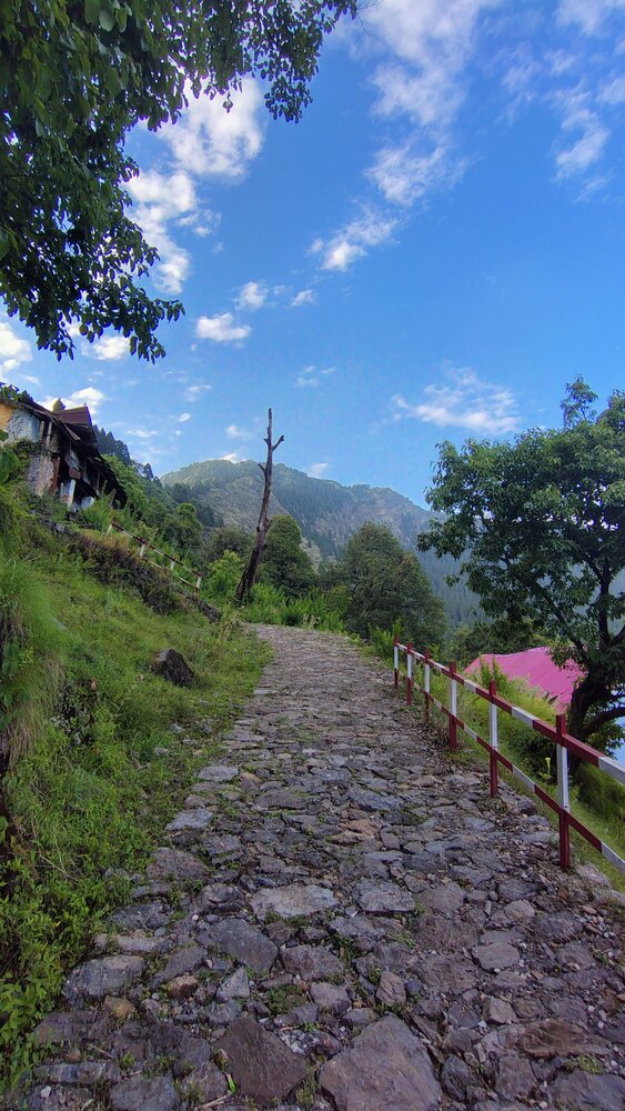 Photo #13778017