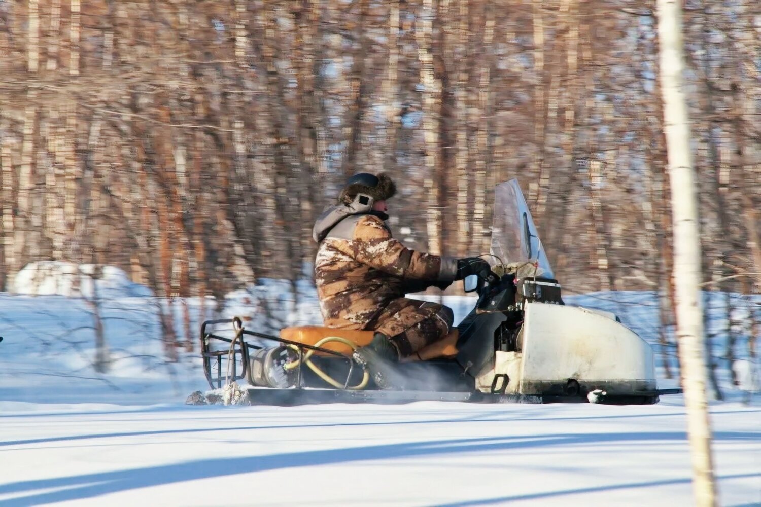 Photo #13778063