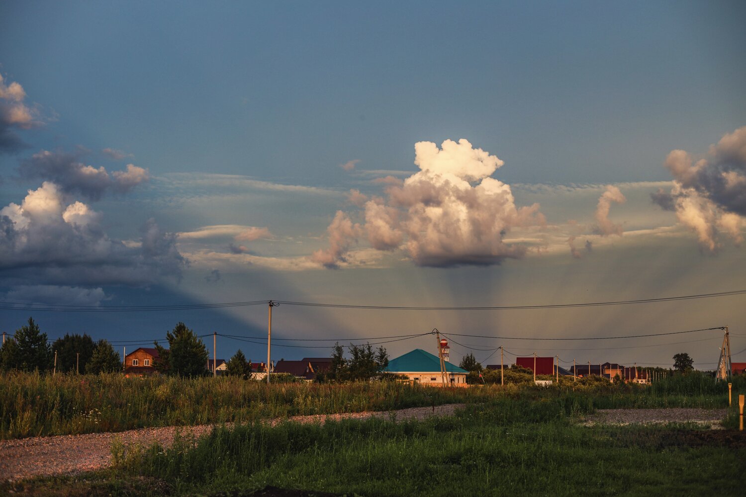 Photo #13778068