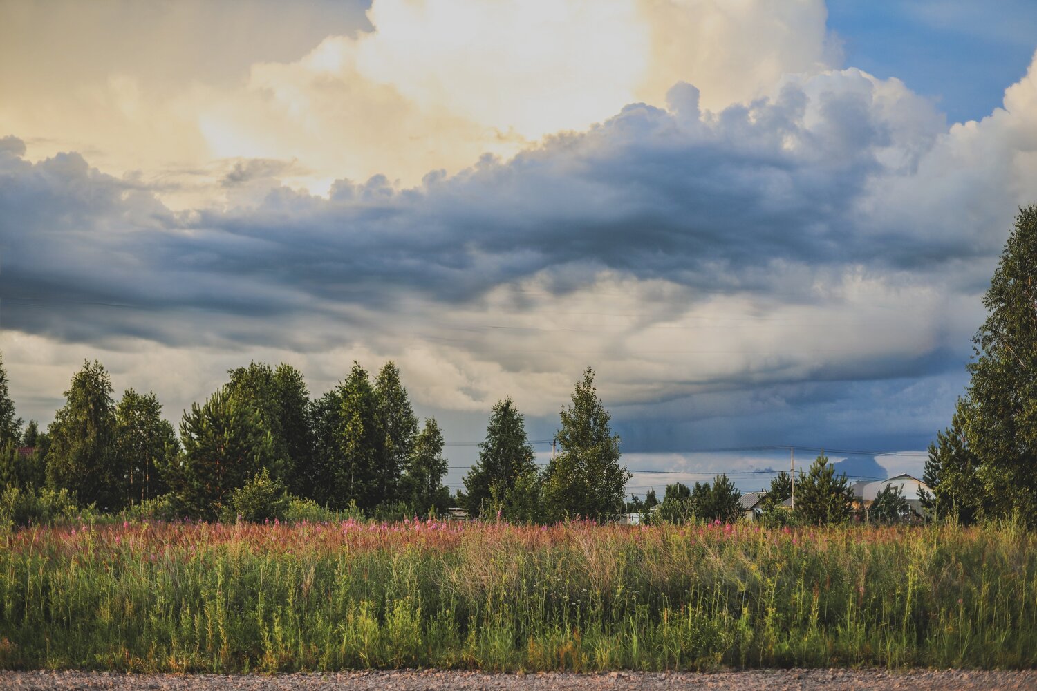 Photo #13778069