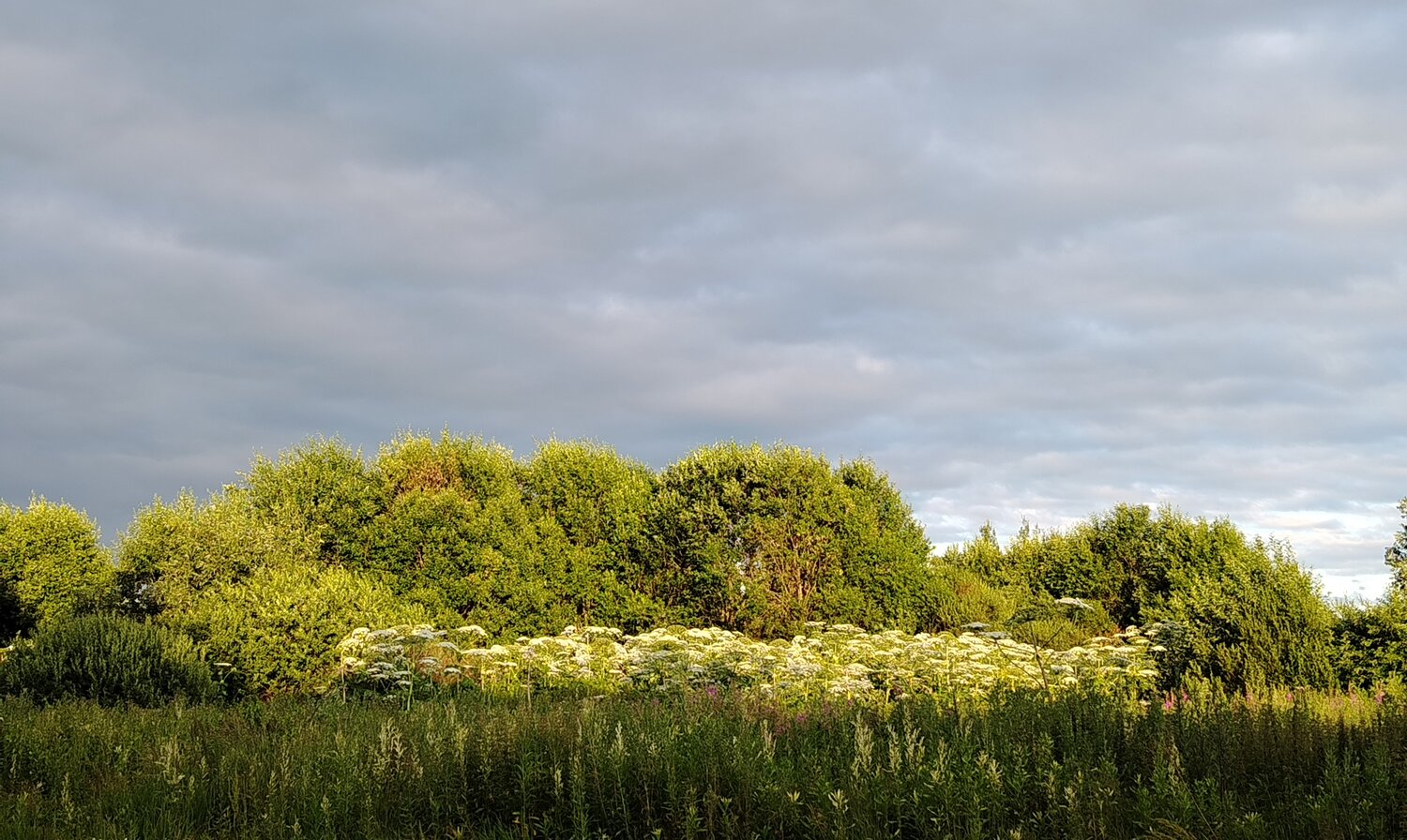 Голубые облака
