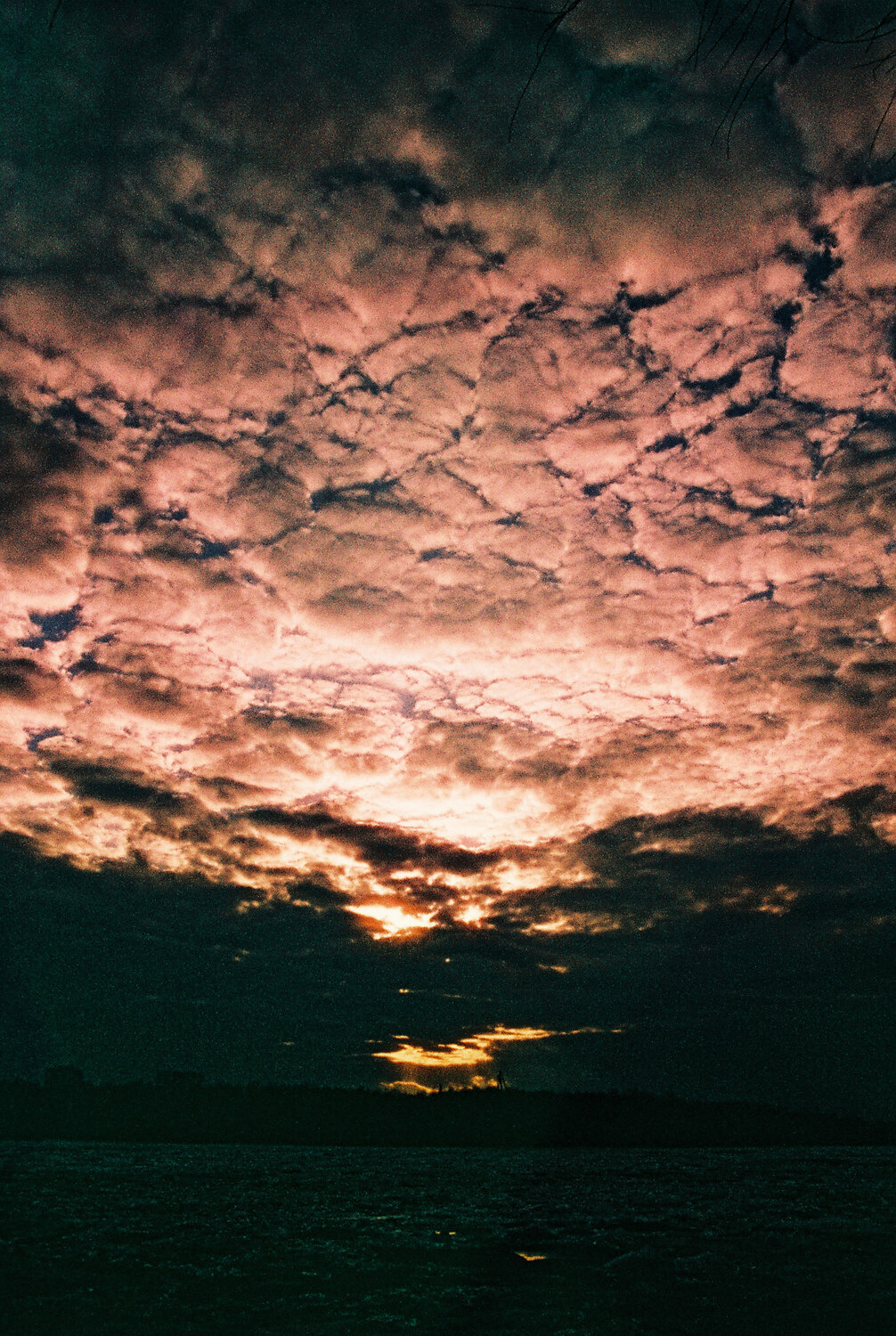 Photo #13778110