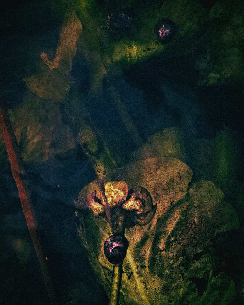 Beneath the Surface