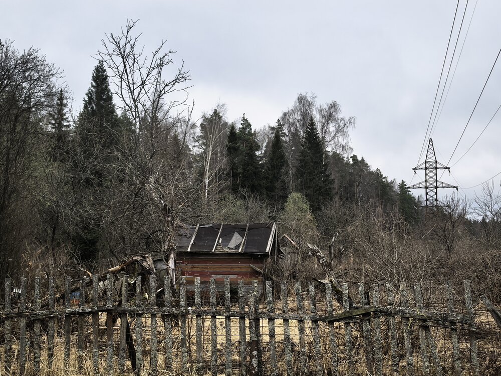 Photograph by Елена Охапкина
