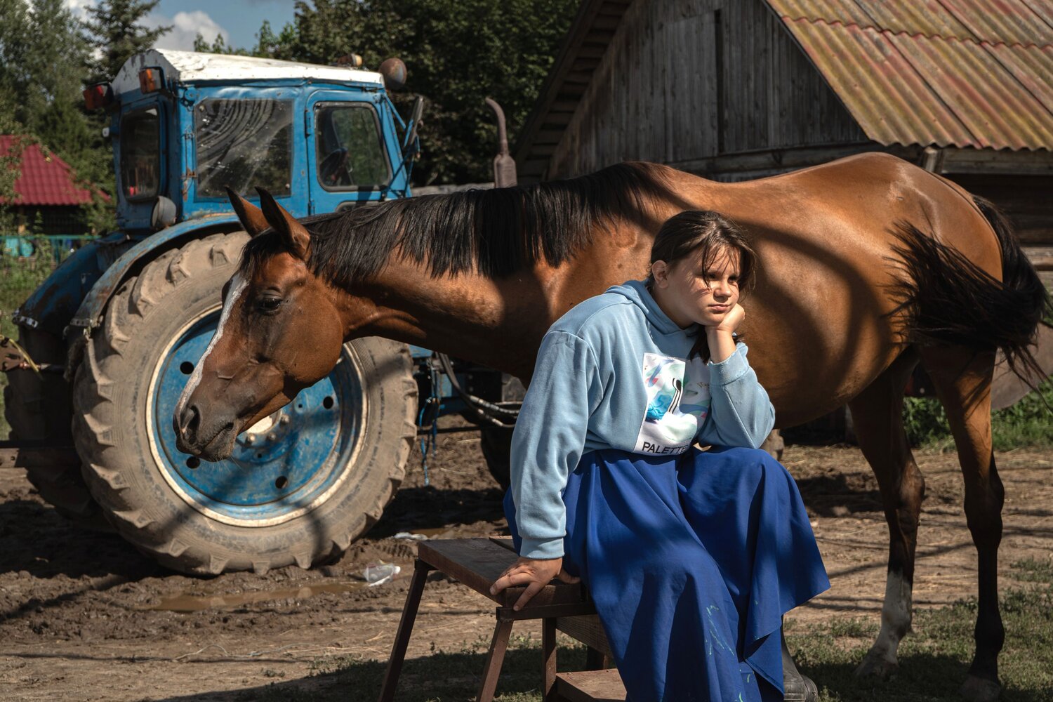 Очень многие думают, что секретов у лошади нет
