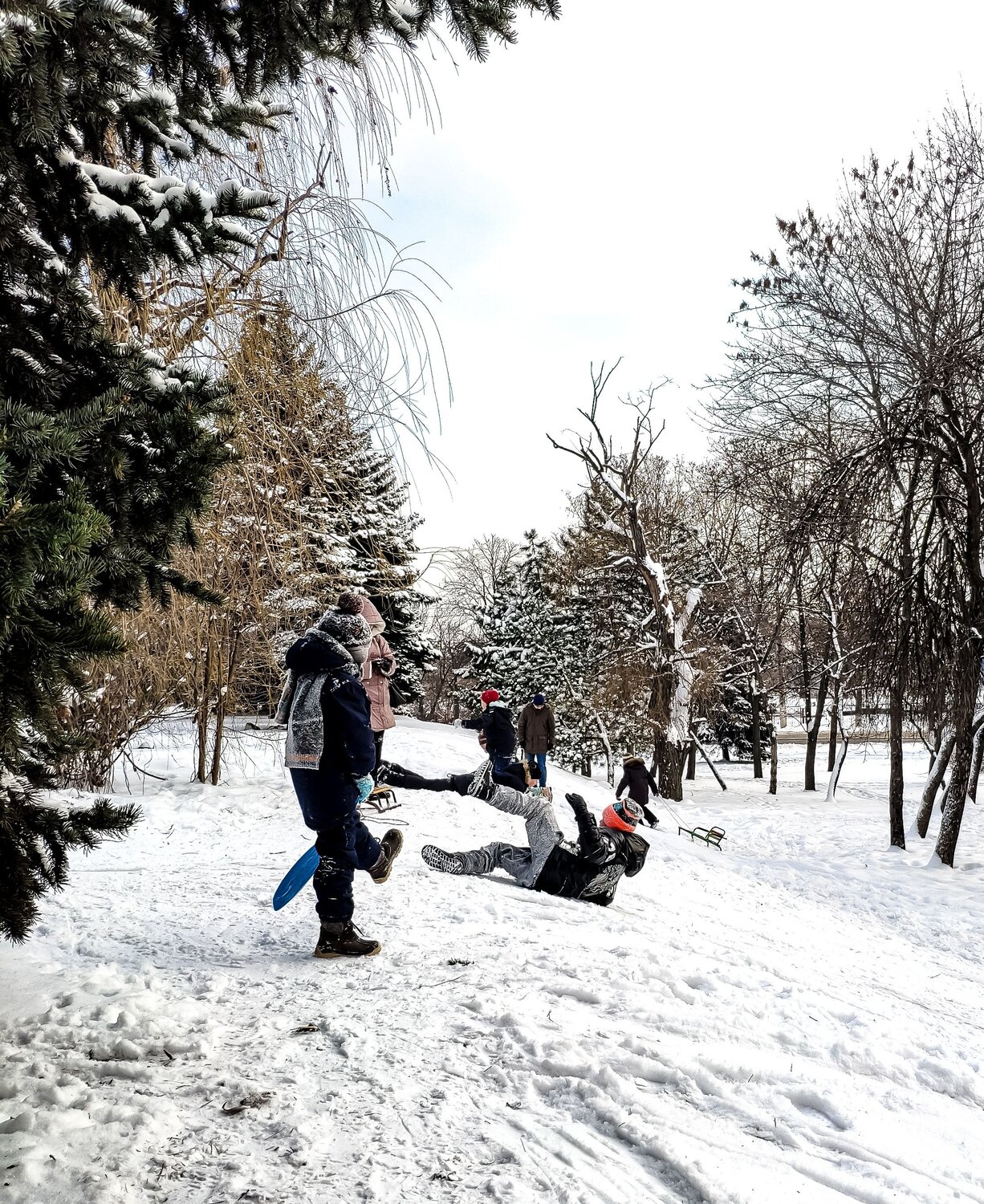 Photo #13778259