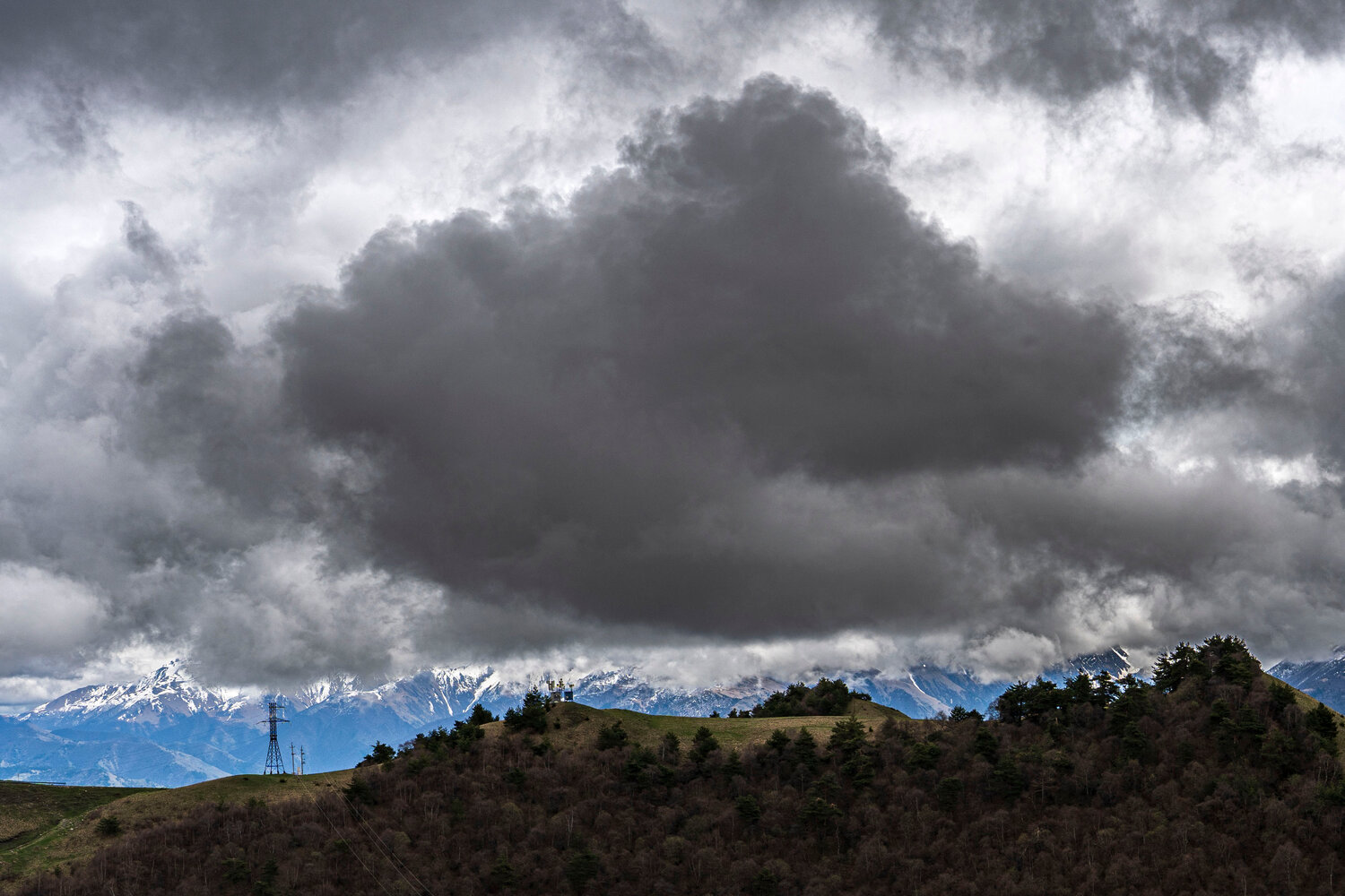 Photo #13778269
