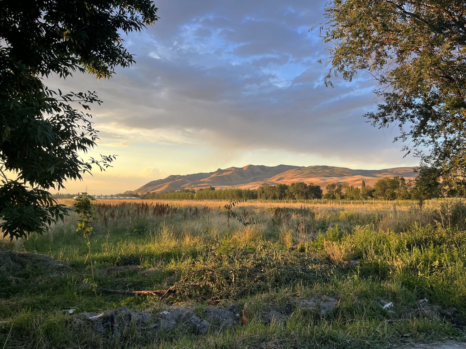 Photo #13778307