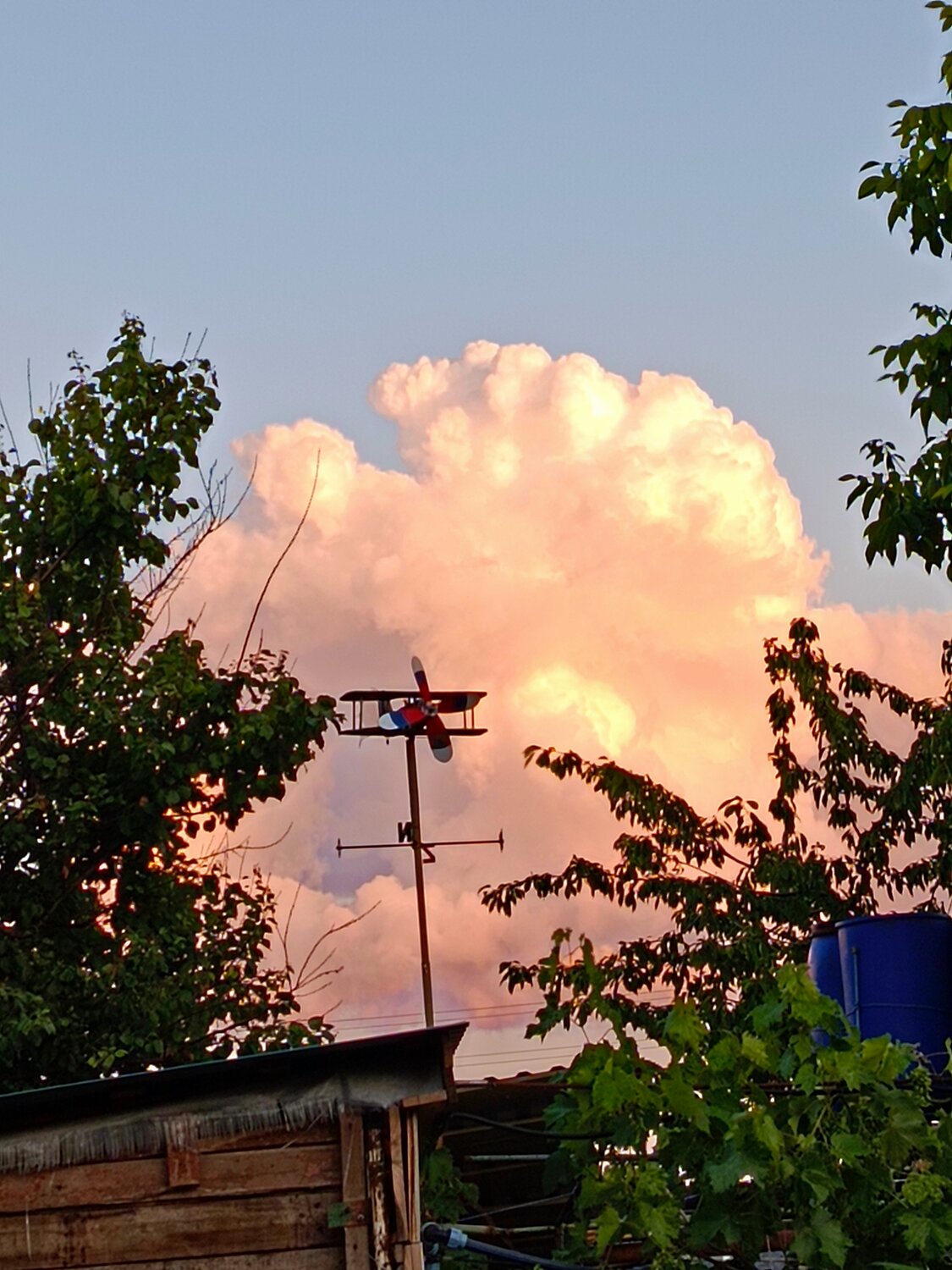 Photo #13778308