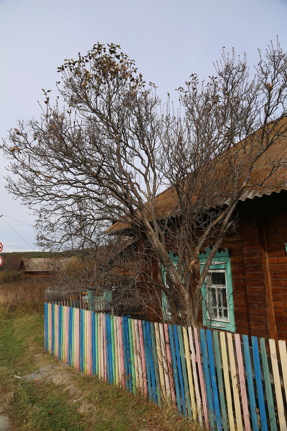 Photo #13778313