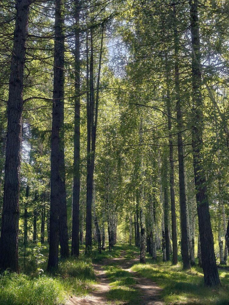 Photograph by Высотских Владимир
