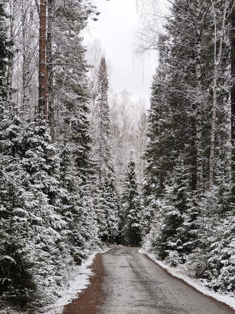 Photograph by Высотских Владимир