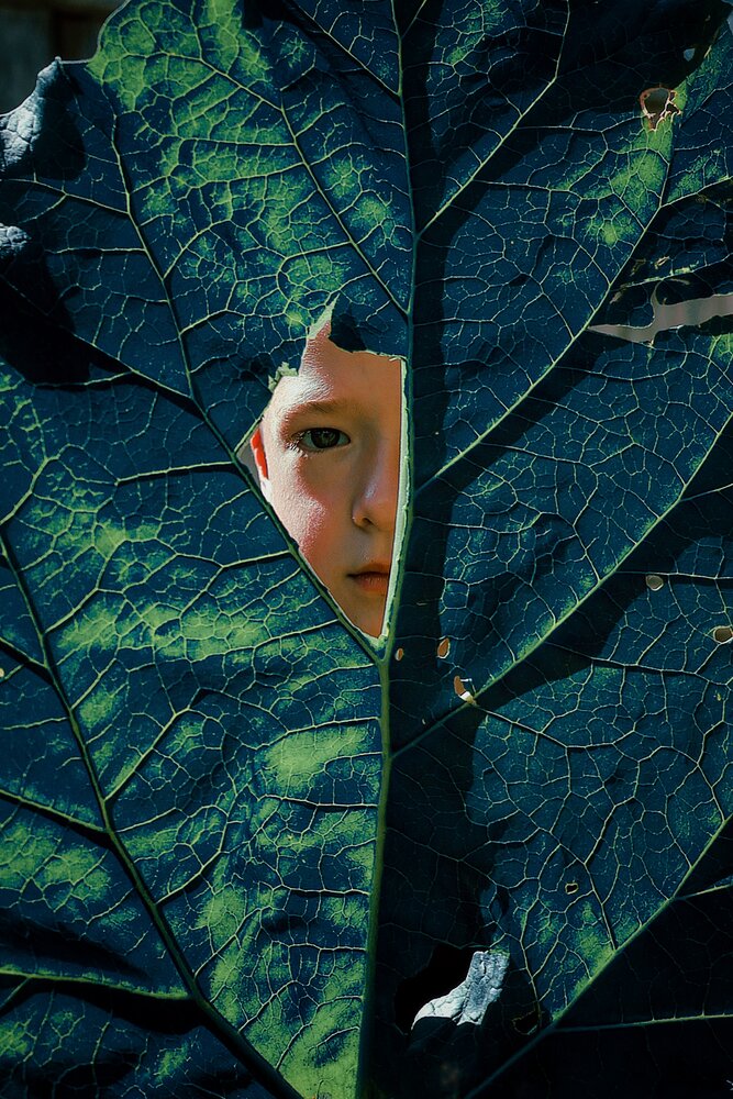 Curiosity