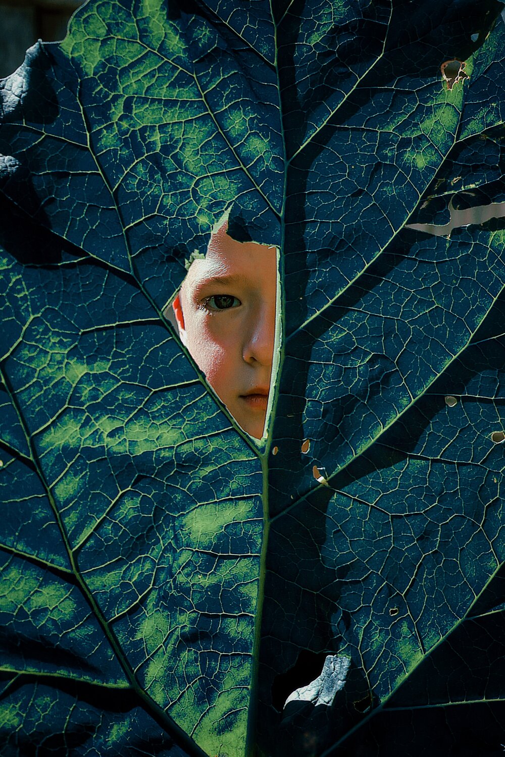 Curiosity