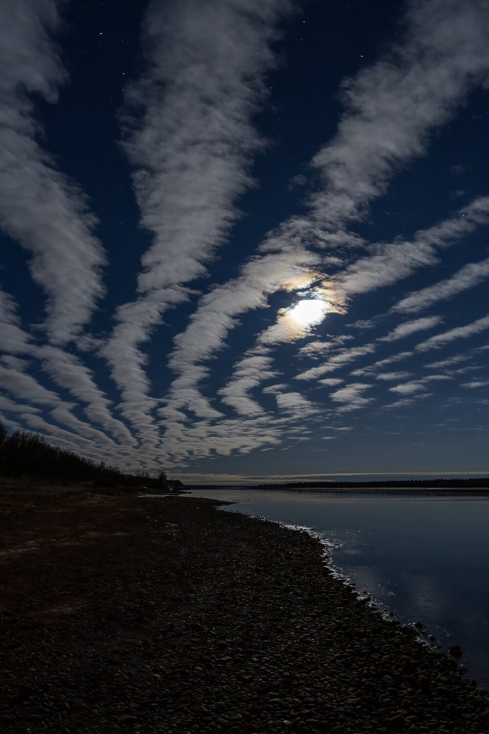 Photo #13778472