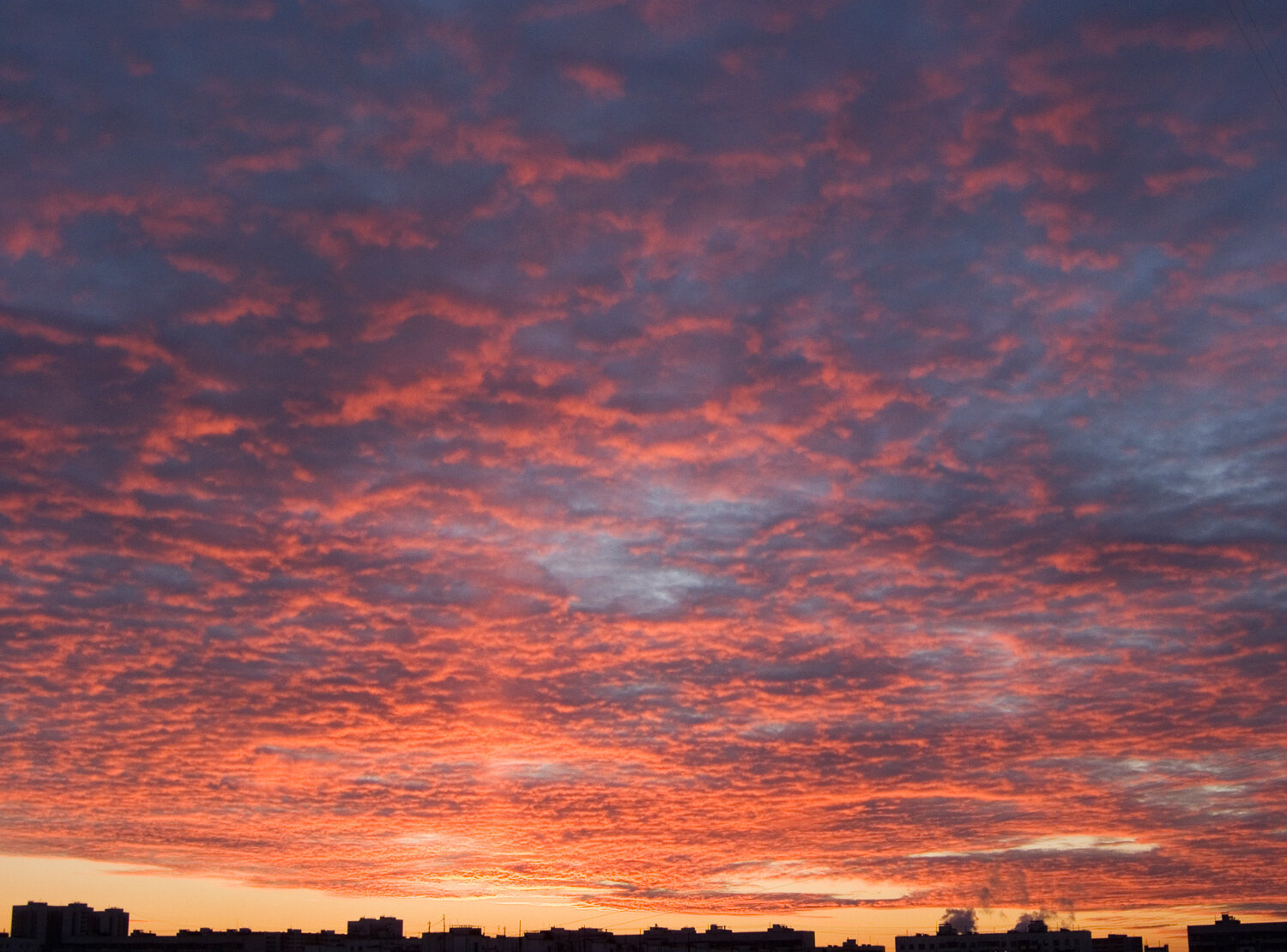 Photo #13778474