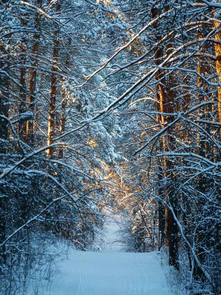 Photograph by Anton Y