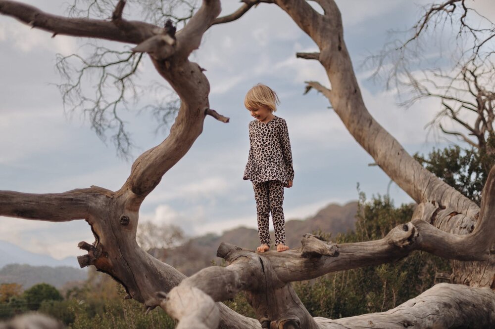 Photograph by Елена