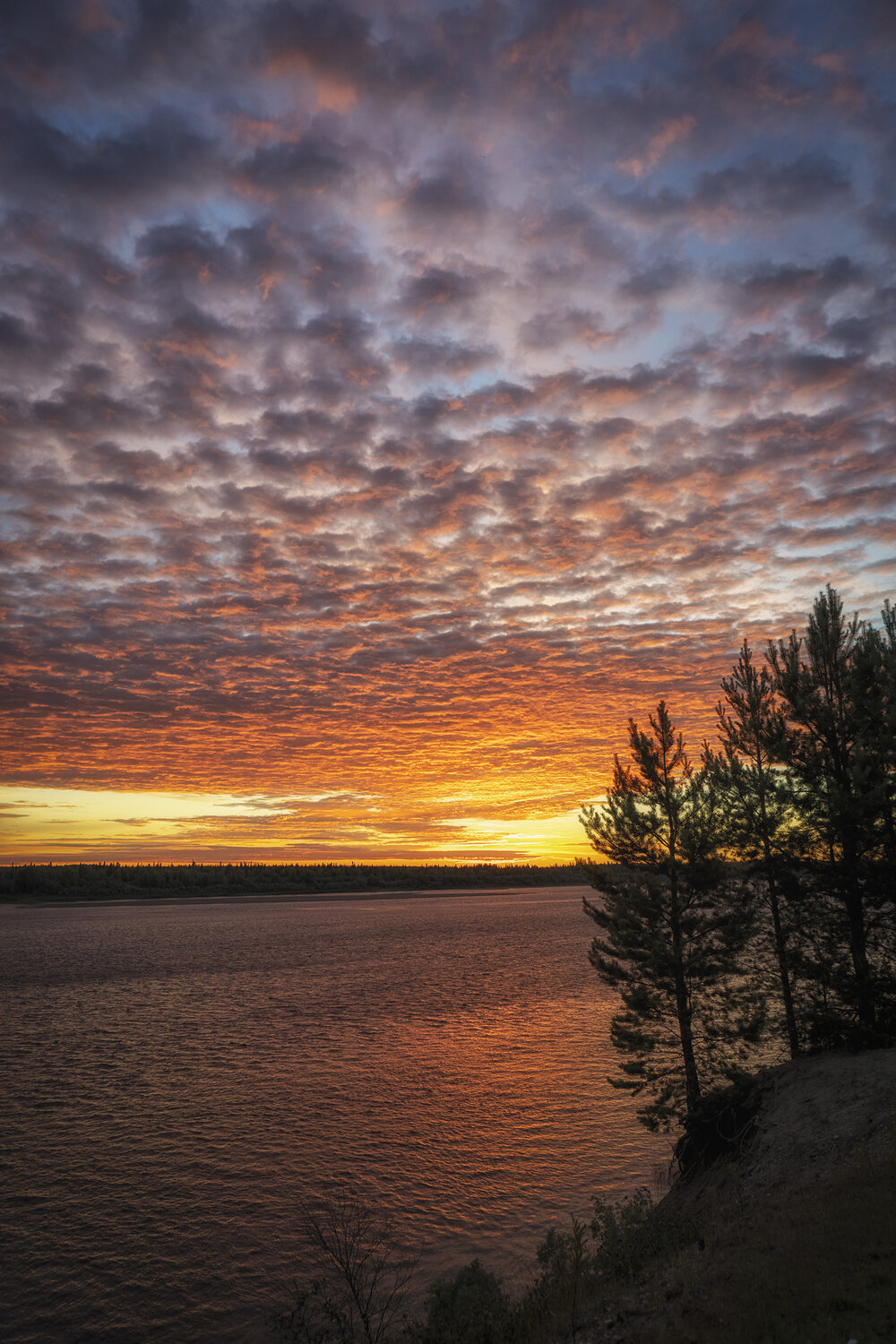 Photo #13778495