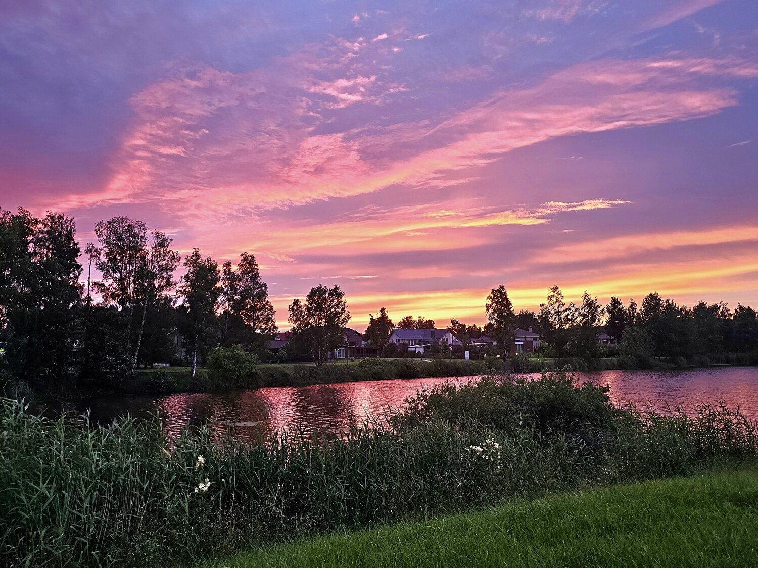 Photo #13778500
