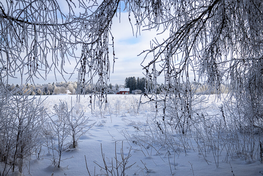 Photograph by Наталья Катюжанская