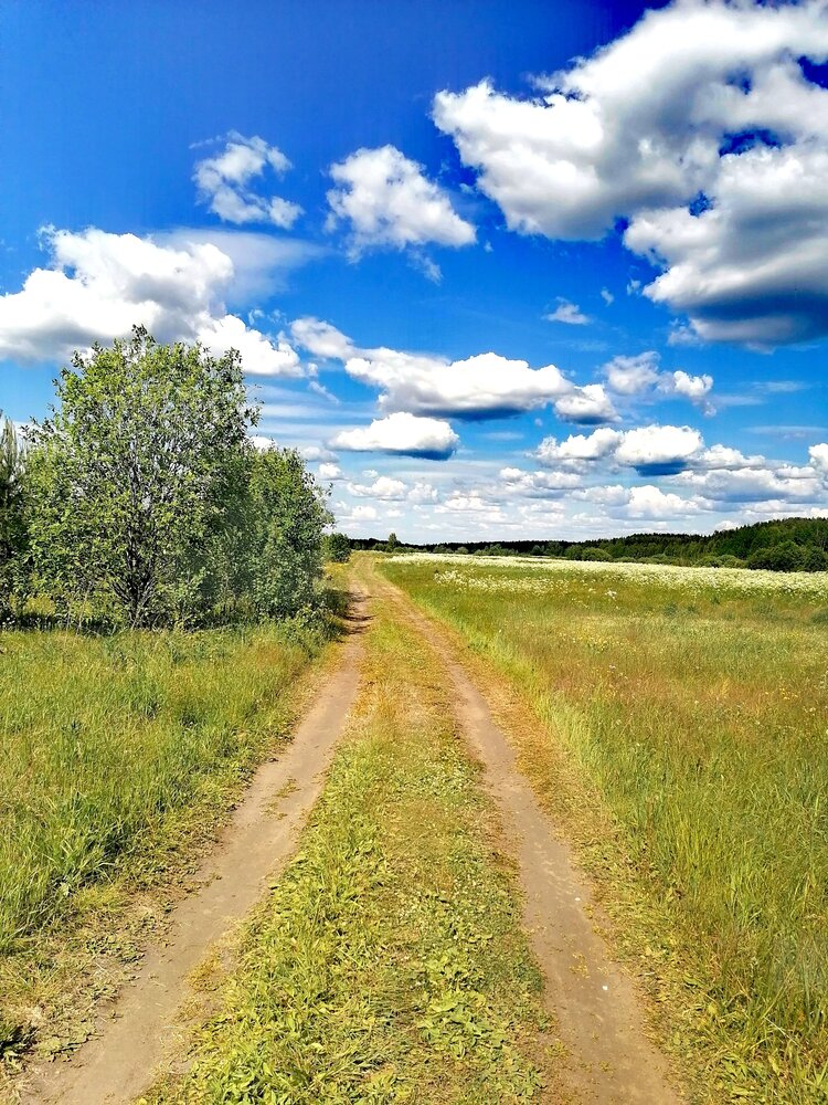 Фотография автора Татьяна Бешенкина